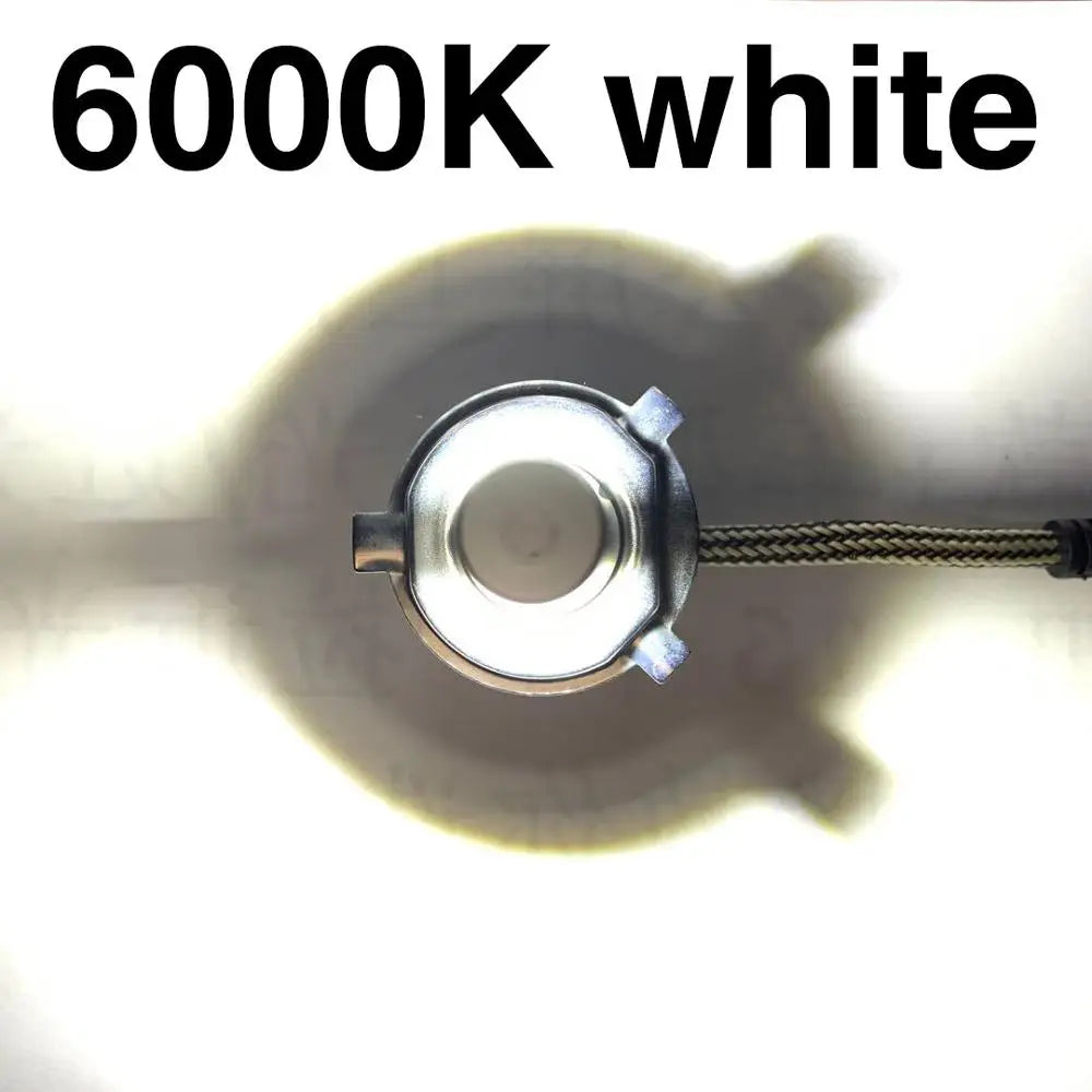 49411636330806|49411636363574|49411636396342|49411636429110|49411636461878|49411636494646|49411636527414|49411636560182|49411636592950|49411636625718|49411636724022|49411636756790|49411636789558|49411636822326