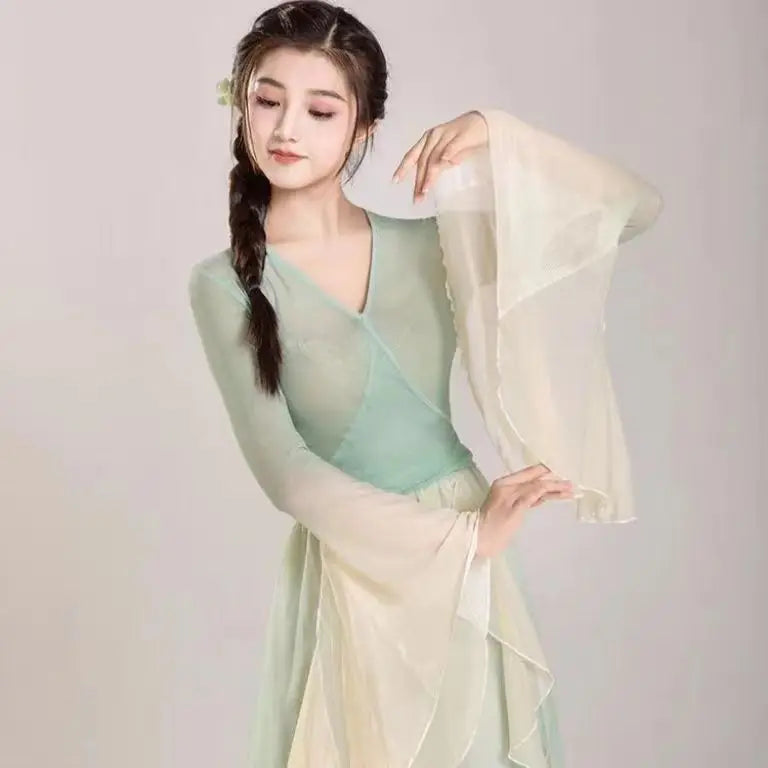 Classical Dance Costume Fairy Purple Suit Daily Practice Dress Loose Flowing Gauze Chinese Dance Performance Stage Dancewear