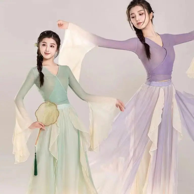 Classical Dance Costume Fairy Purple Suit Daily Practice Dress Loose Flowing Gauze Chinese Dance Performance Stage Dancewear